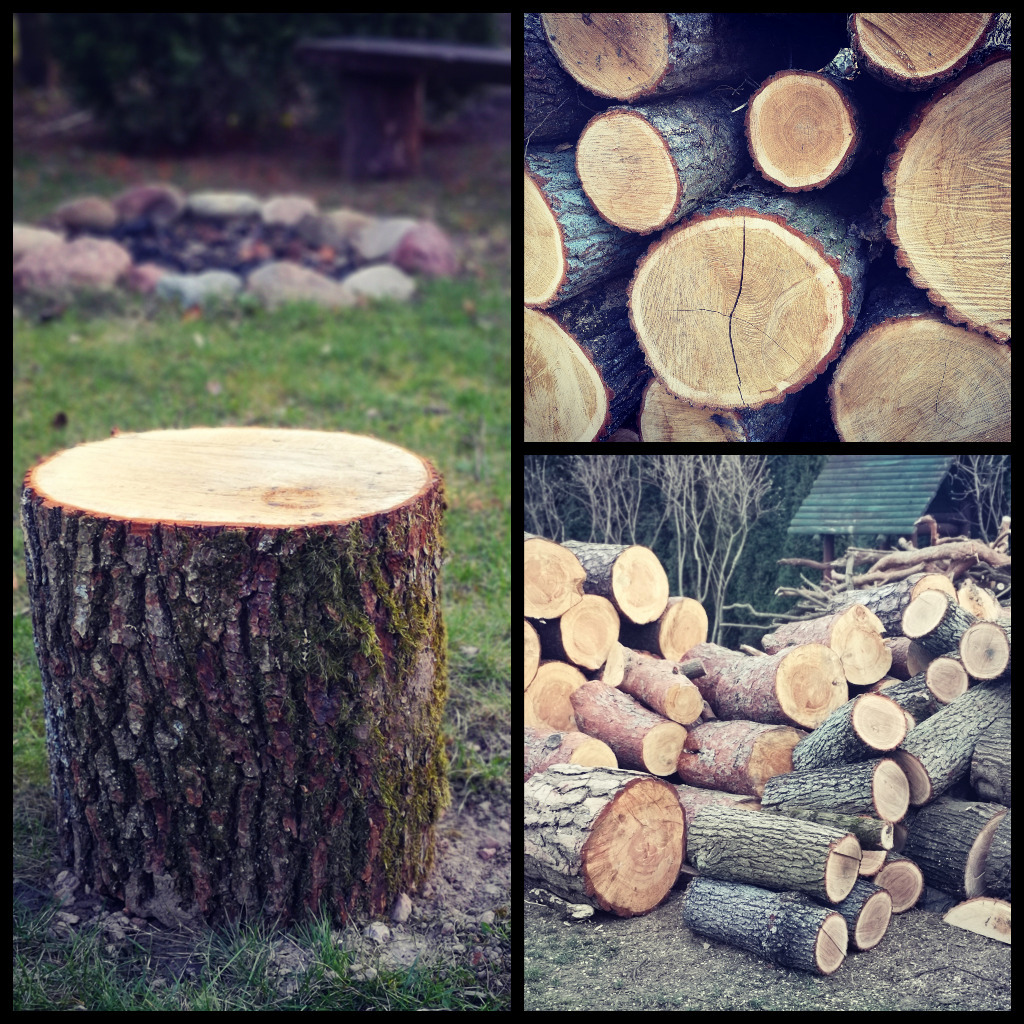 Pniaki drewniane, do ogrodu, ogniska. Puławy Ogłoszenie na Allegro