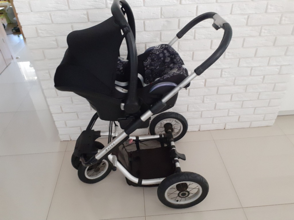 mutsy team college 01 cena