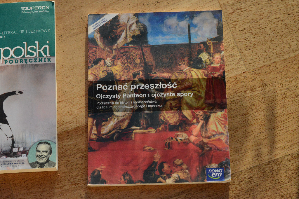 Historia I Społeczeństwo Poznać Przeszłość Ojczysty Panteon I Ojczyste Spory Poznać przeszłość Ojczysty Panteon ojczyste spory | Kraków | Kup teraz