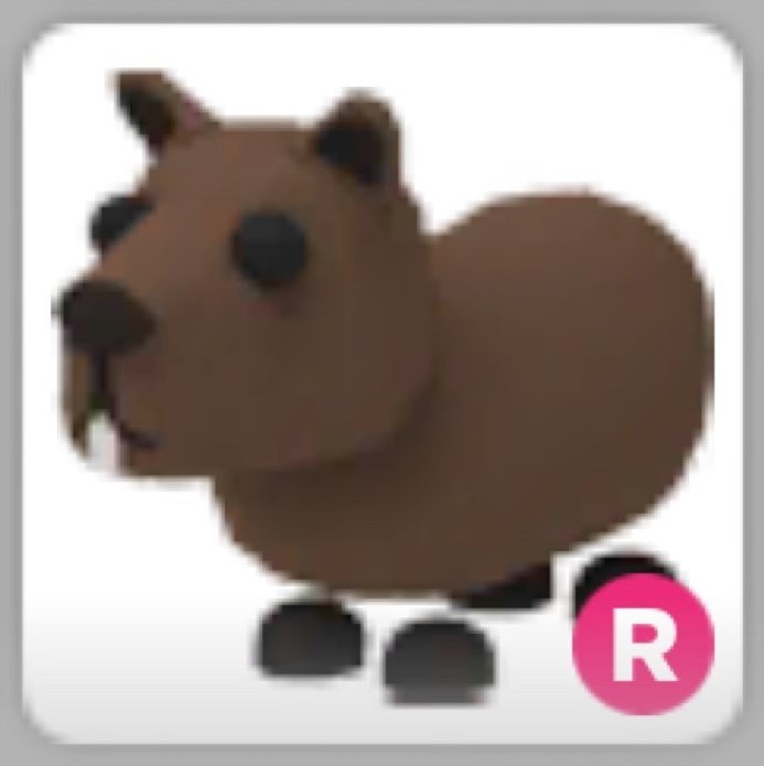 Adopt Me ride capybara Janów Lubelski Kup teraz na Allegro Lokalnie