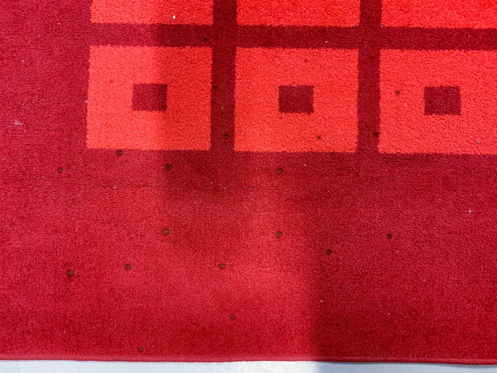 Dywan 160 x 220 cm Gdansk Ogłoszenie na Allegro Lokalnie