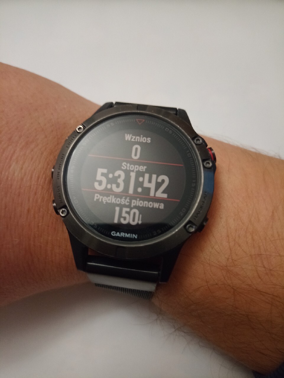 Garmin Fenix 5 z metalową bransoletą Halinów Kup teraz na Allegro Lokalnie