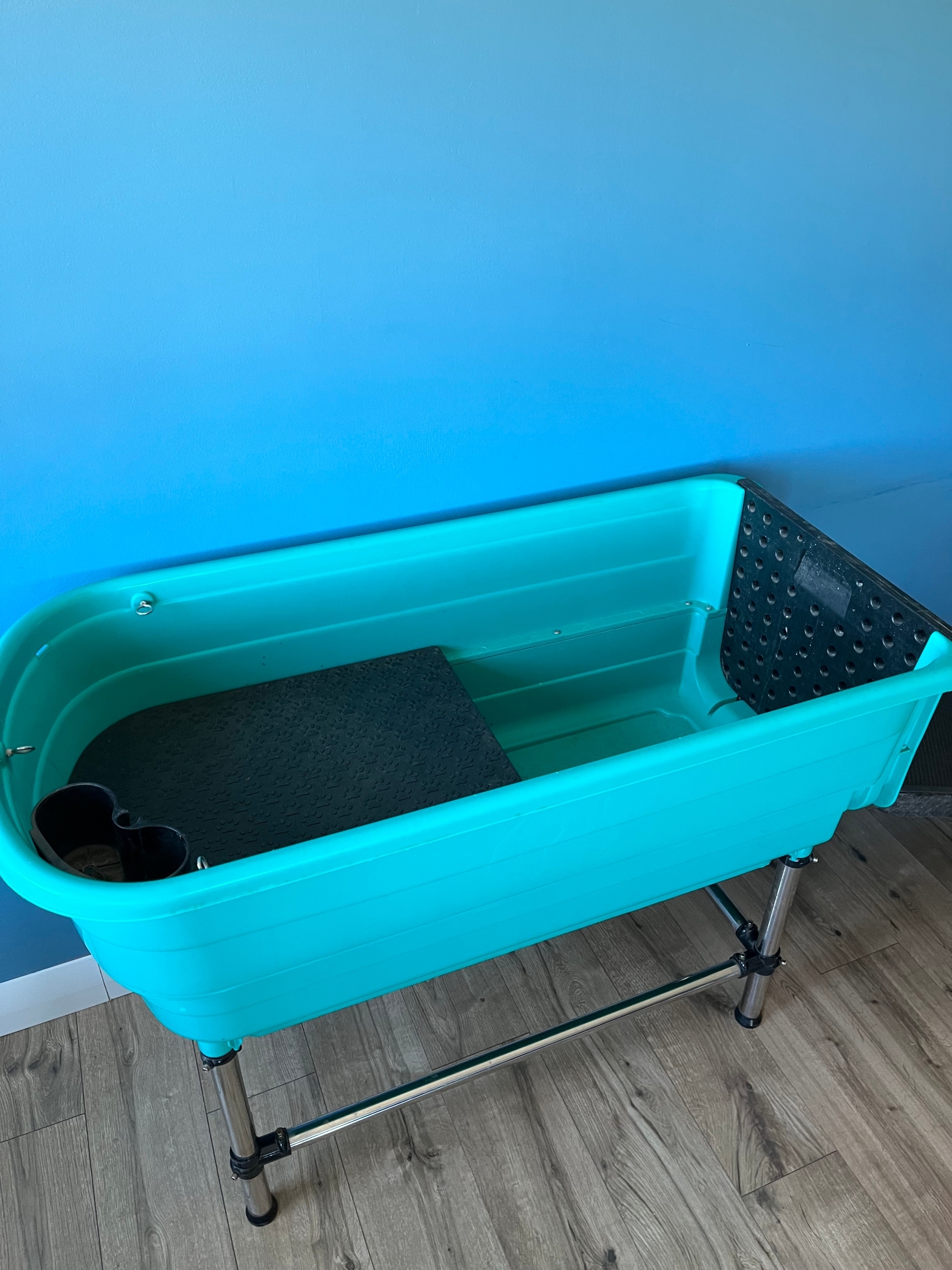 Wanna groomerska Blovi Booster Pet Tub Bojano Kup teraz na Allegro