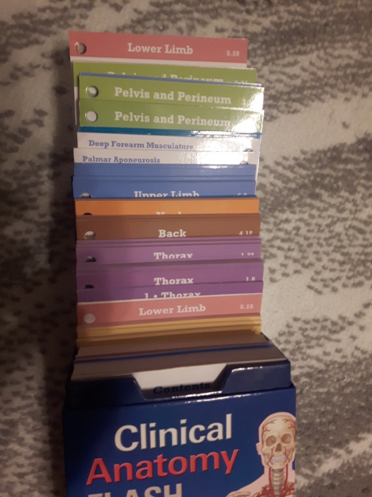 Moore's Clinically Oriented Anatomy Flash Cards Warszawa Kup teraz