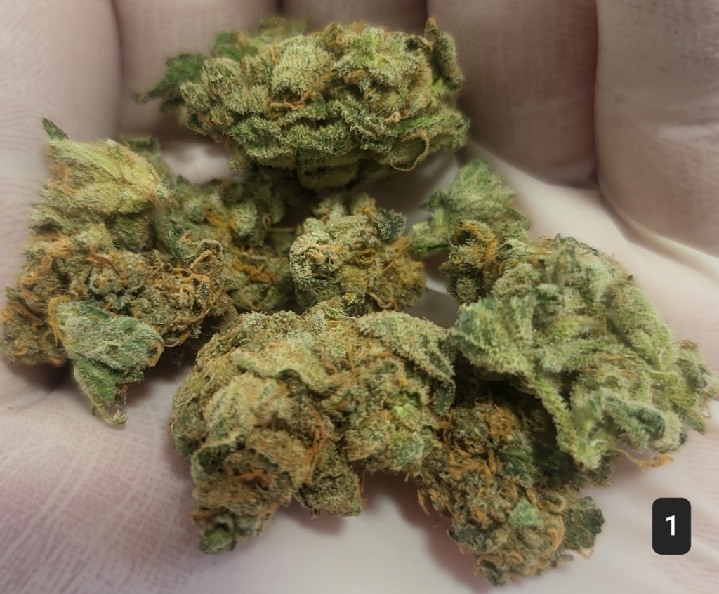 odwrotneCBD smoking WEED grass Lublin Kup teraz na Allegro Lokalnie