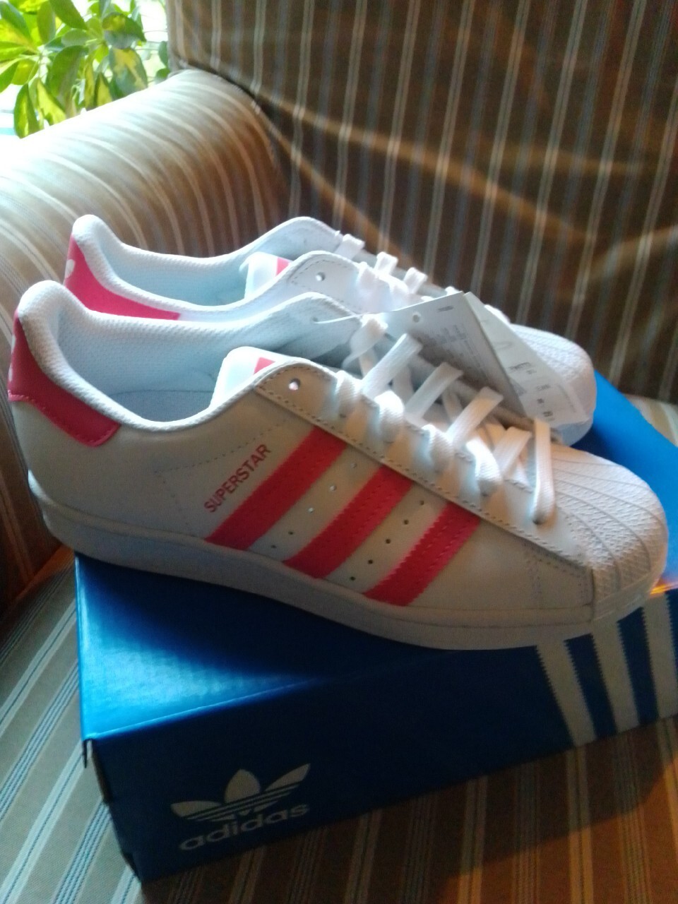 adidas superstar 36