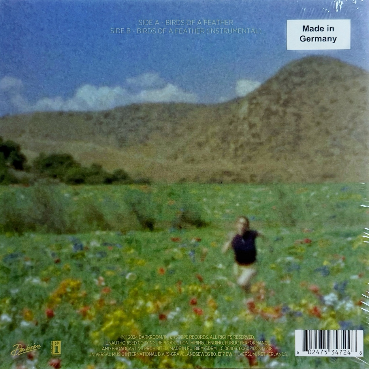 Billie Eilish Birds Of A Feather レコード 7\" Billie Eilish Birds Of A Feather レコード 7