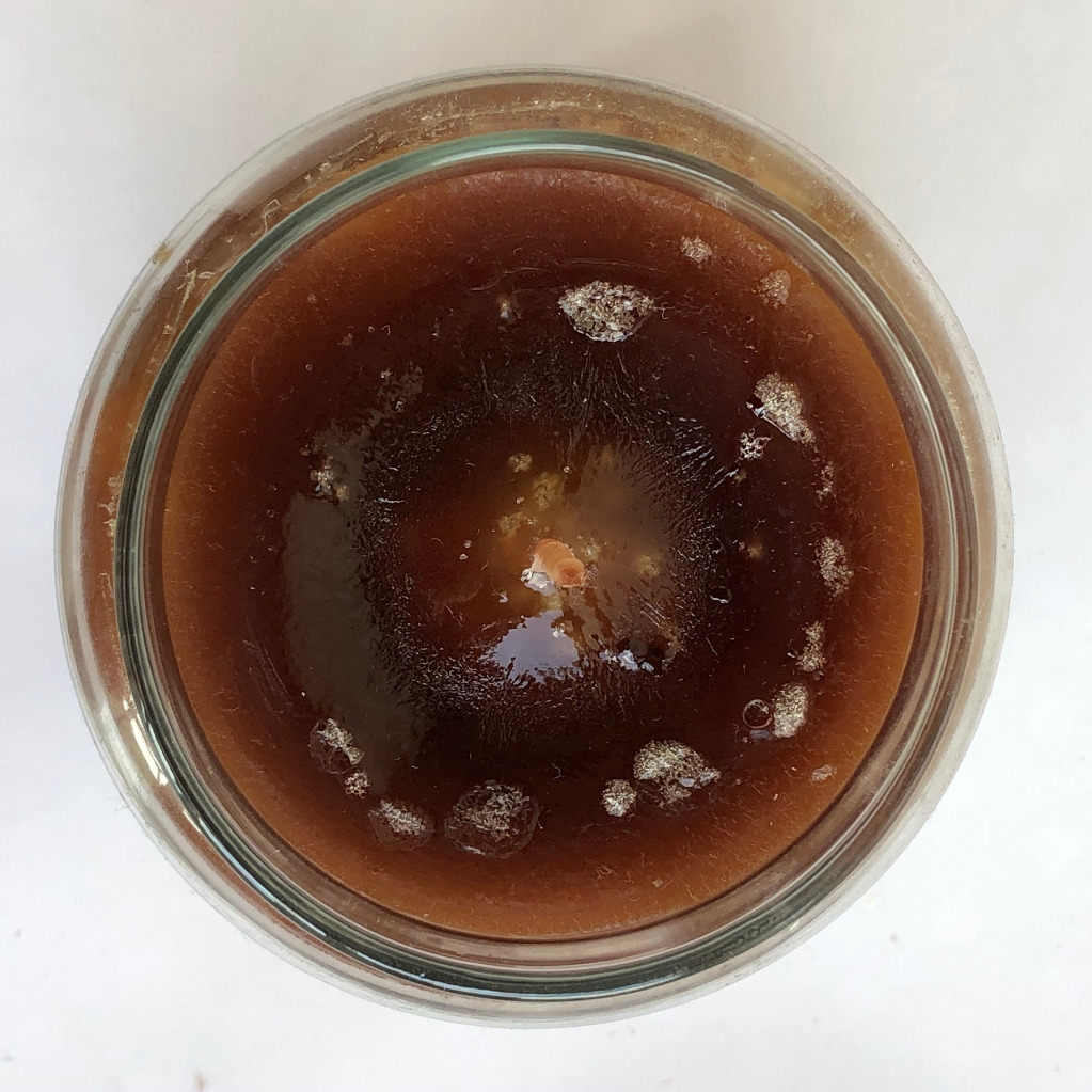 HAZELNUT COFFEE Yankee Candle duża NOWA (2013) Warszawa Kup teraz