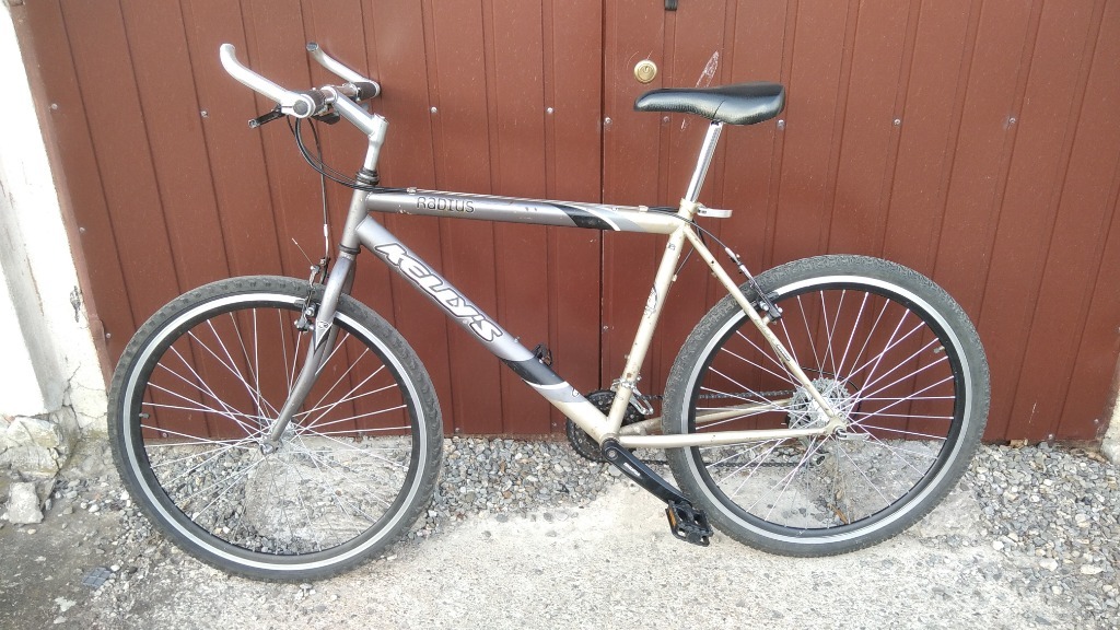 Rower MTB Kellys Radius 26 rama 19,5 Nysa Kup teraz na Allegro Lokalnie