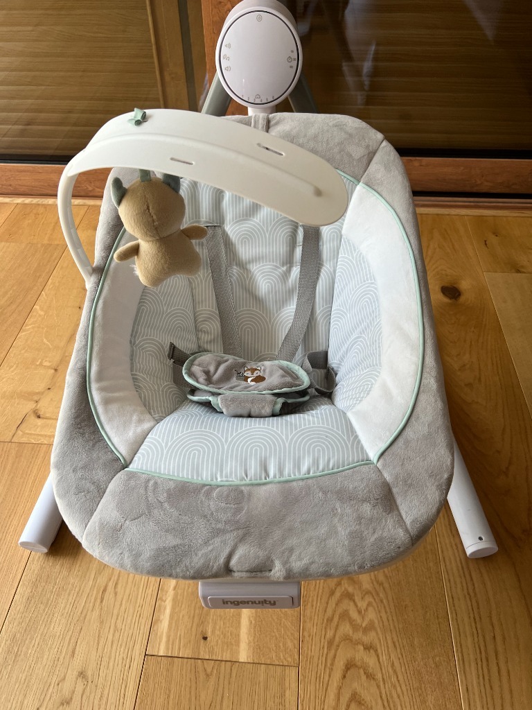 Ingenuity AnyWay Sway huśtawka do 9kg Złotoria Ogłoszenie na