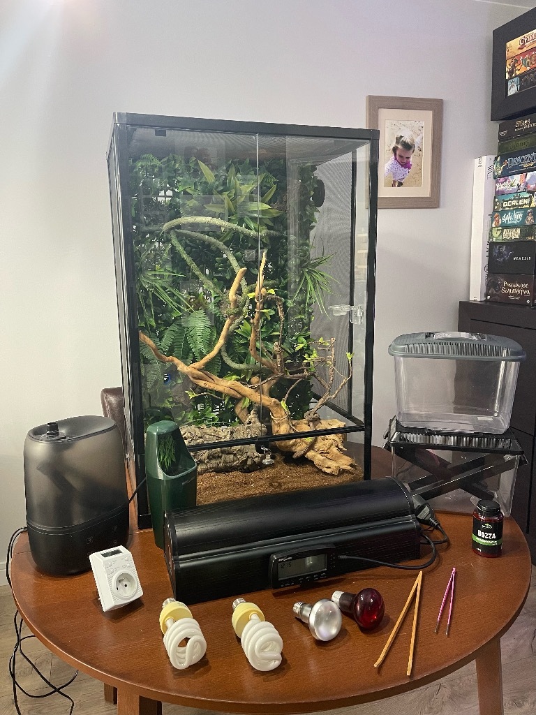 ReptiZoo Terrarium 60x45x90 Kompletny Zestaw Będzin Kup teraz na