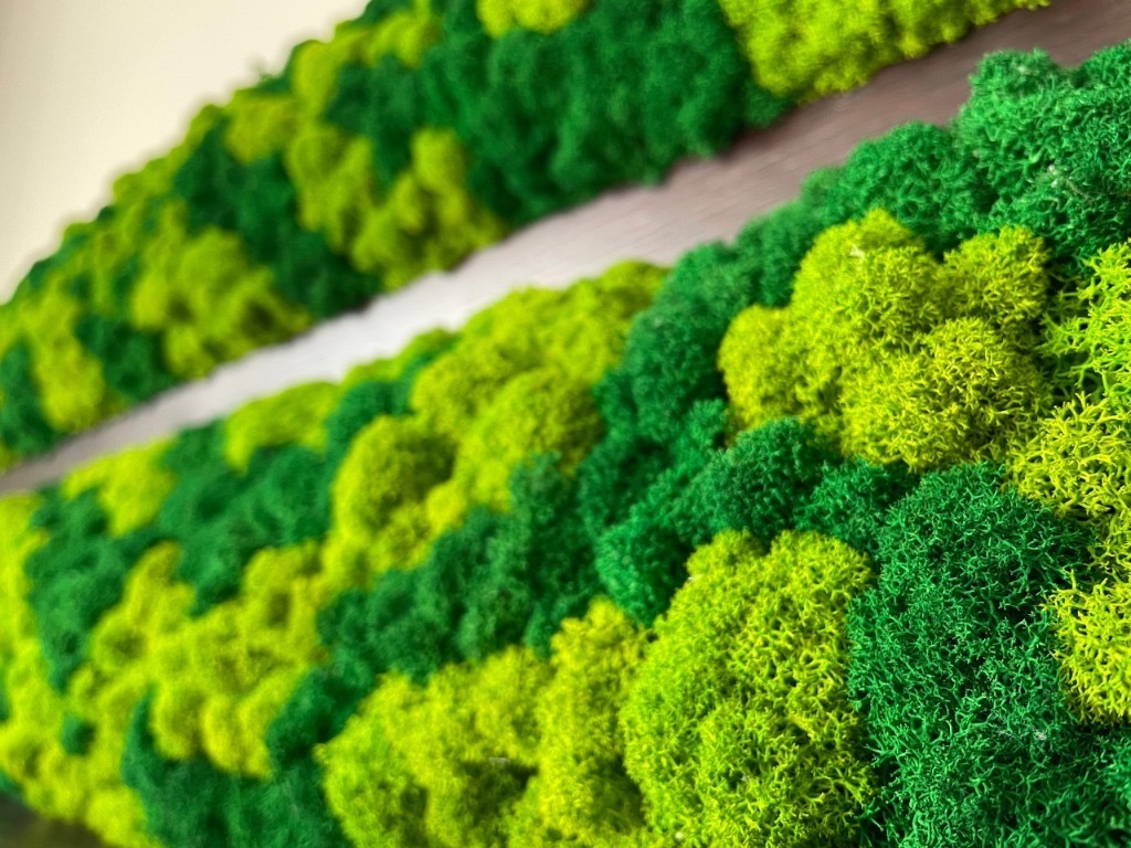 Panel z mchu chrobotka 100x15 na korku do łazienki Kraków