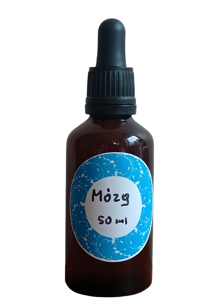 Mózg i Układ Nerwowy (Brain &Nerve) Dr Morse 50 ml Olesno Kup teraz na Allegro Lokalnie