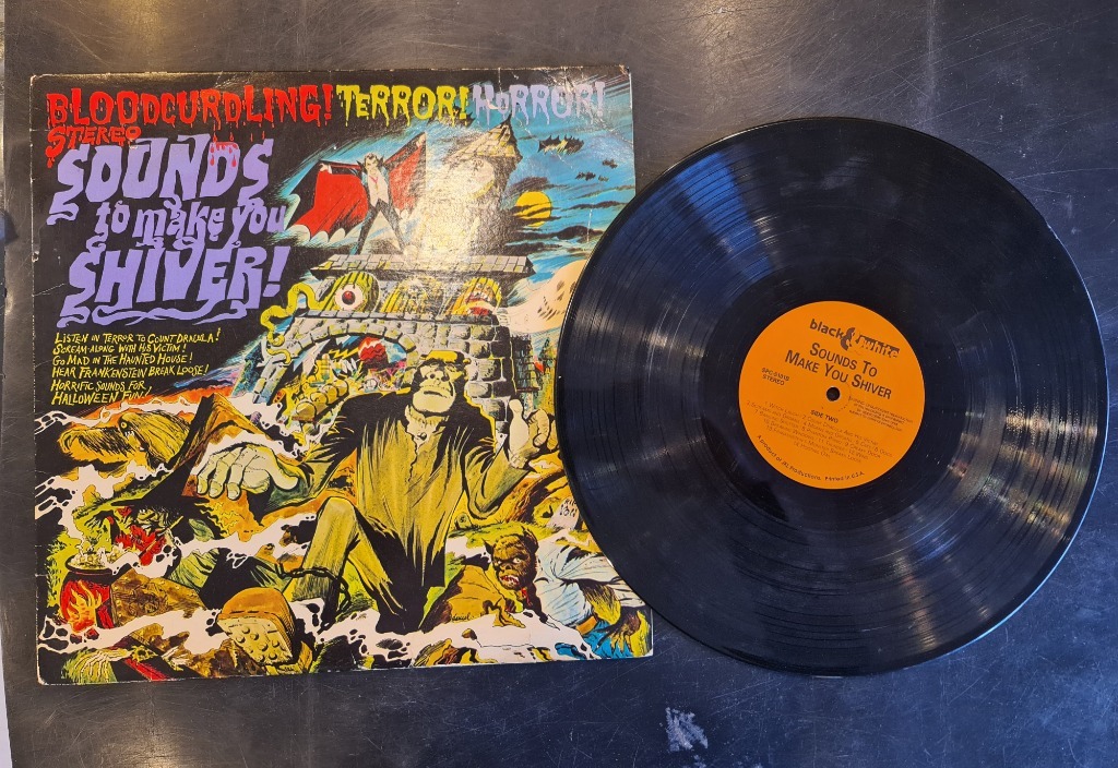 Bloodcurdling terror horror Sound to make you LP | Warszawa | Licytacja