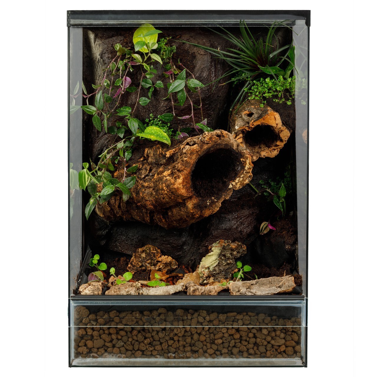 Terrarium 40x40x60 gekon orzesiony Kleszczewo Ogłoszenie na Allegro