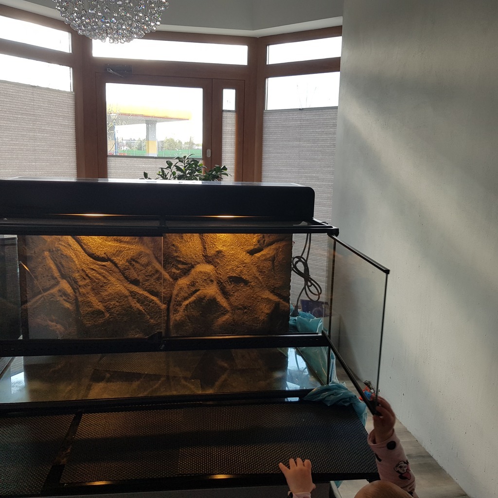 Terrarium Exo Terra z oświetleniem 90x45x45 Kowale Kup teraz na