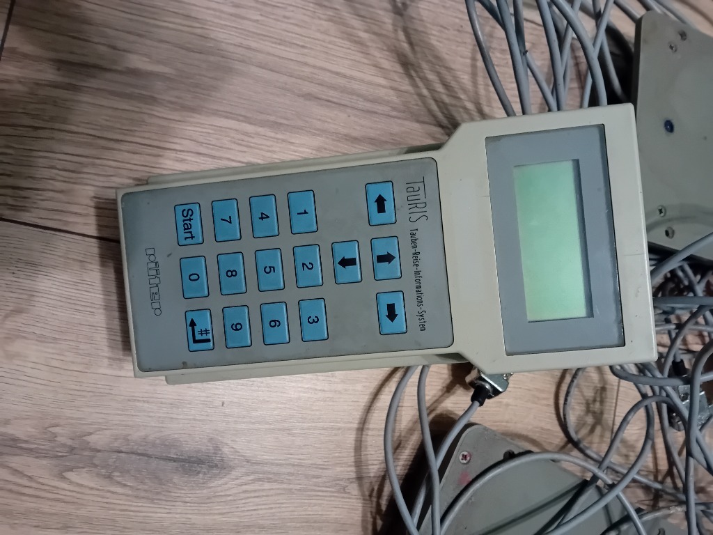 Zegar tauris 2000. Przechlewo Ogłoszenie na Allegro Lokalnie