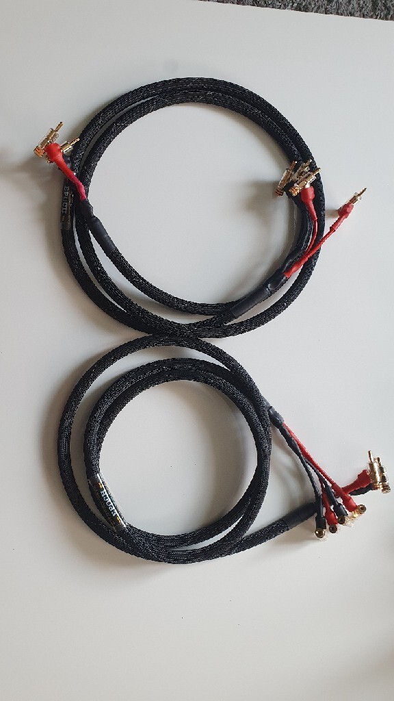 Acoustic Zen Epoch Shotgun 2.4m Kruszwica Kup teraz na Allegro Lokalnie