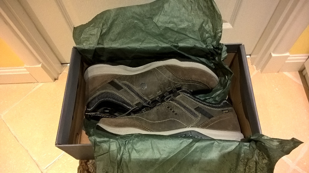 ecco mens espinho gtx