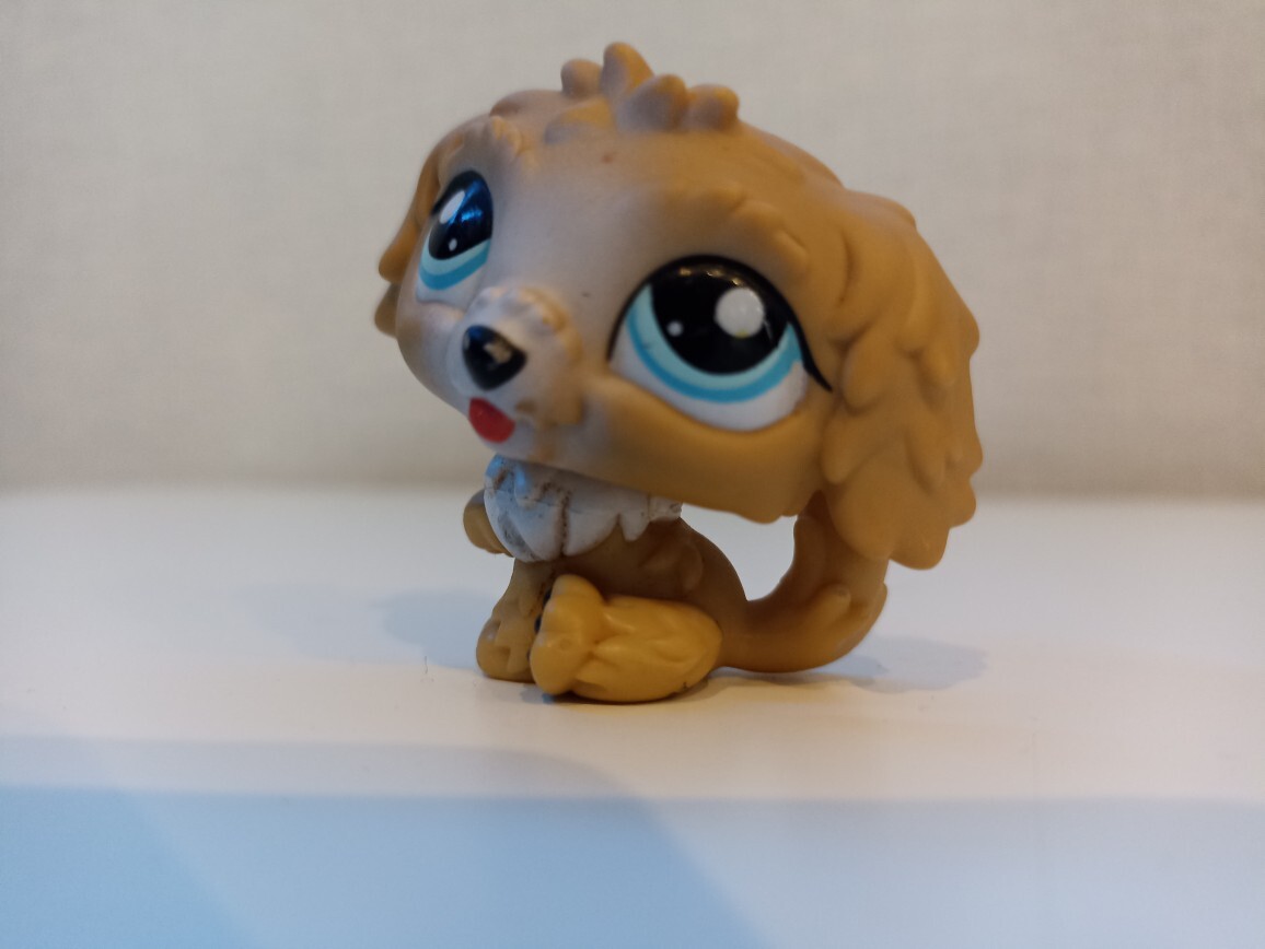 Littlest pet shop pies Labrador 1701 + dodatek Mełgiew Kup teraz