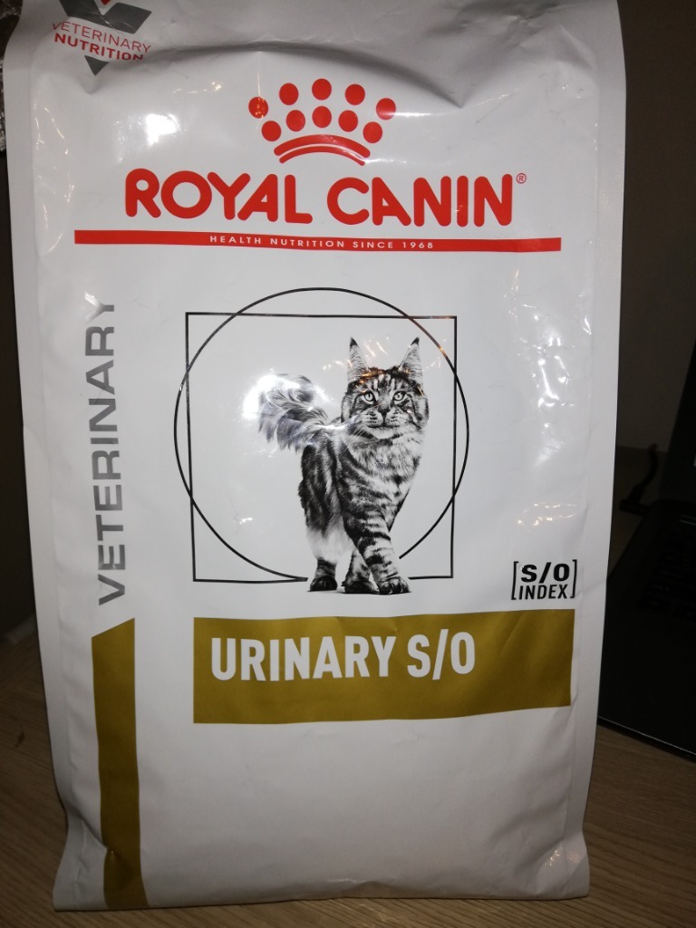 ROYAL CANIN Veterinary Urinary S/O kot 1,5 kg | Olsztyn | Kup teraz na ...