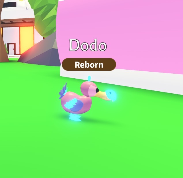 Adopt me DODO neon R reborn Płońsk Kup teraz na Allegro Lokalnie