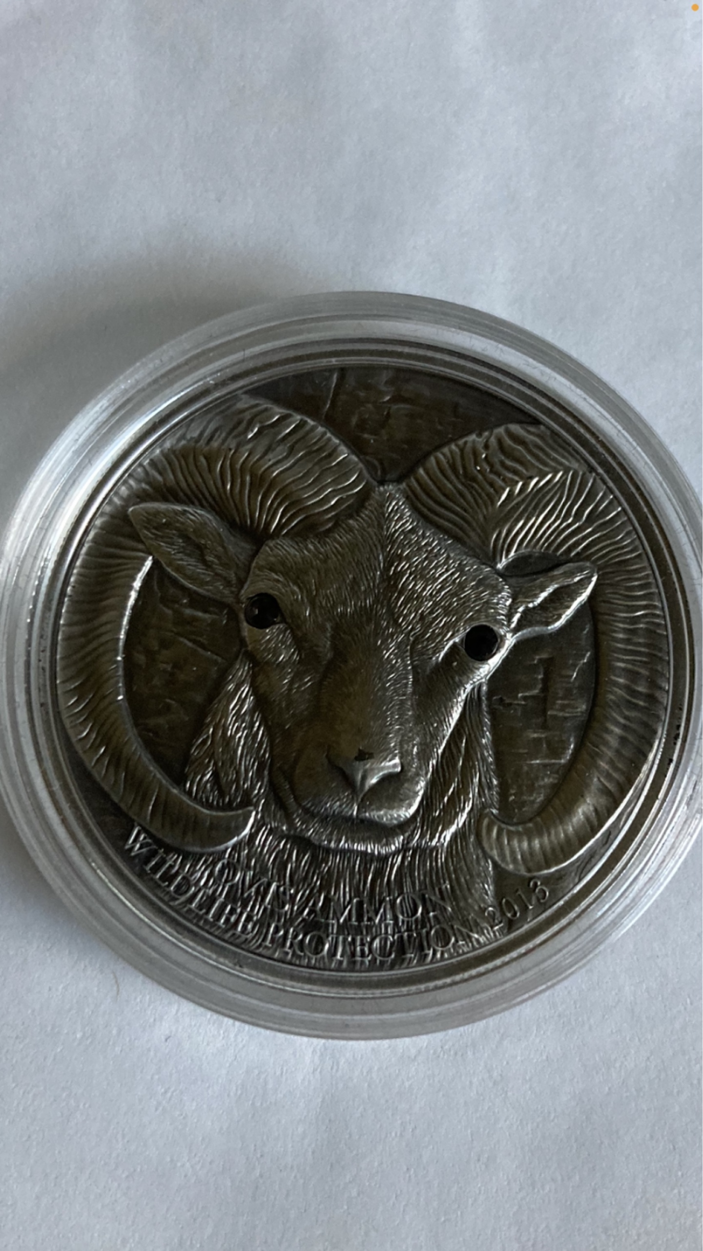 500-tugrik-owca-argali-zielonki-wie-kup-teraz-na-allegro-lokalnie