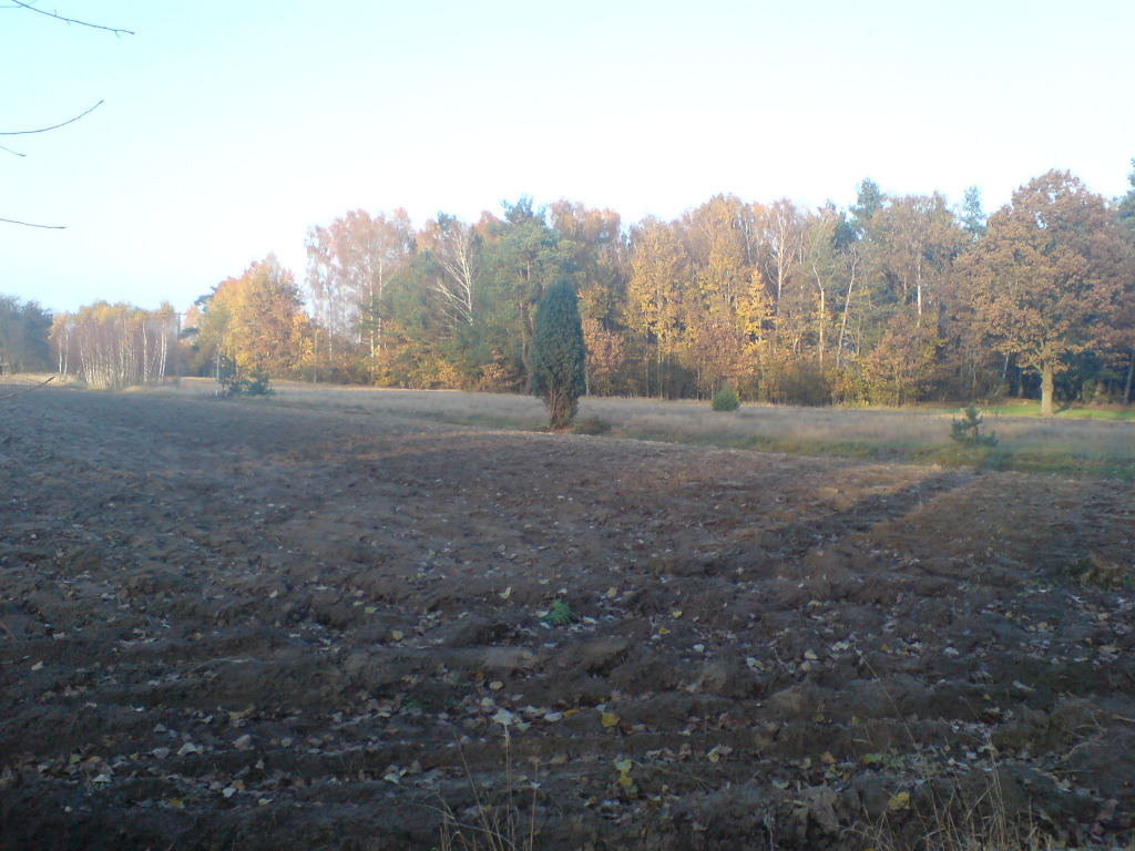 Działka 0,6ha we wsi Orłowo gmina Rzewnie Rzewnie Ogłoszenie na