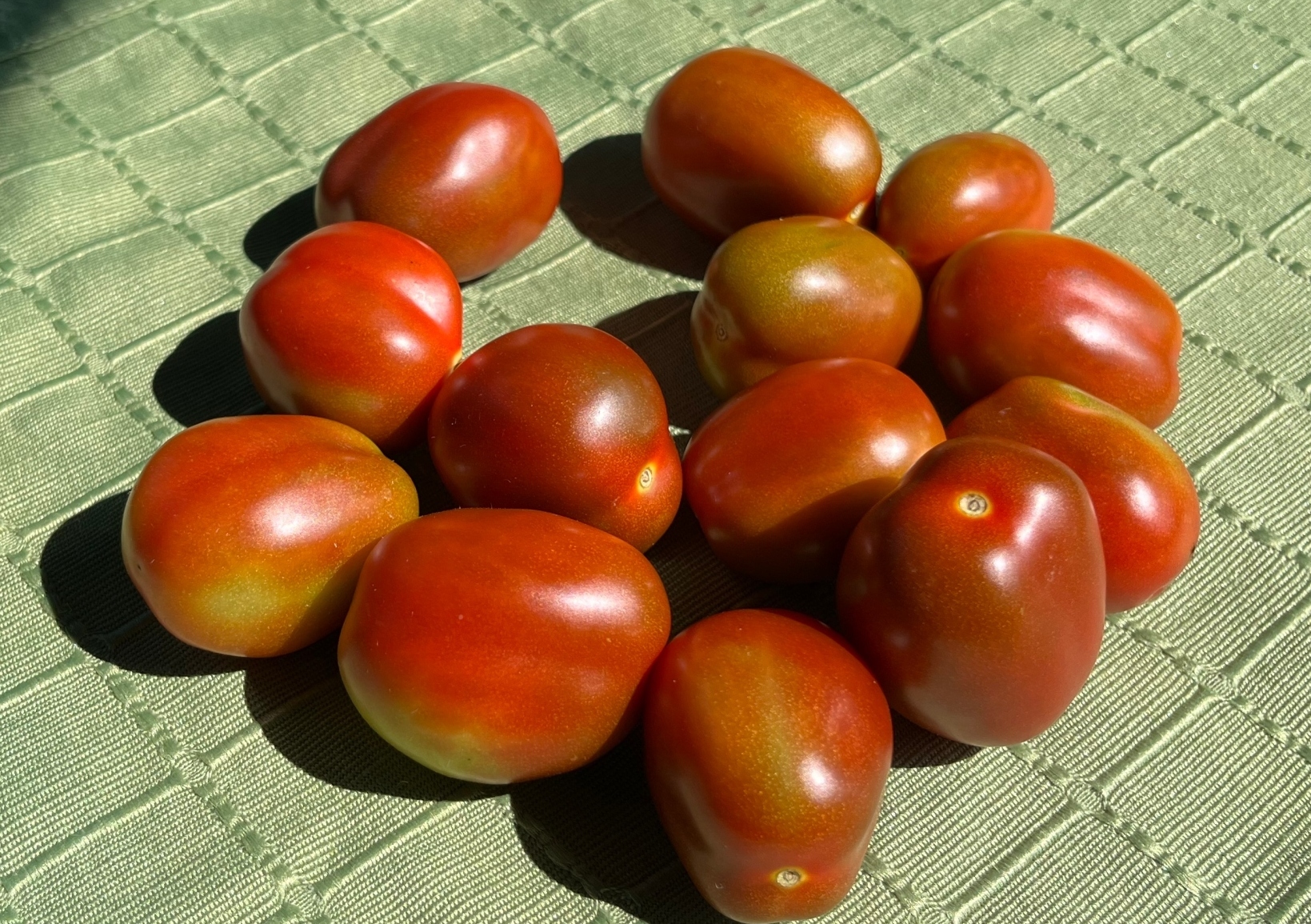 Pomidor Purple Plum Kraków Kup teraz na Allegro Lokalnie