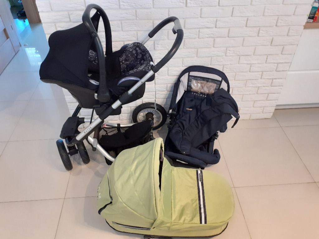 mutsy team college 01 cena