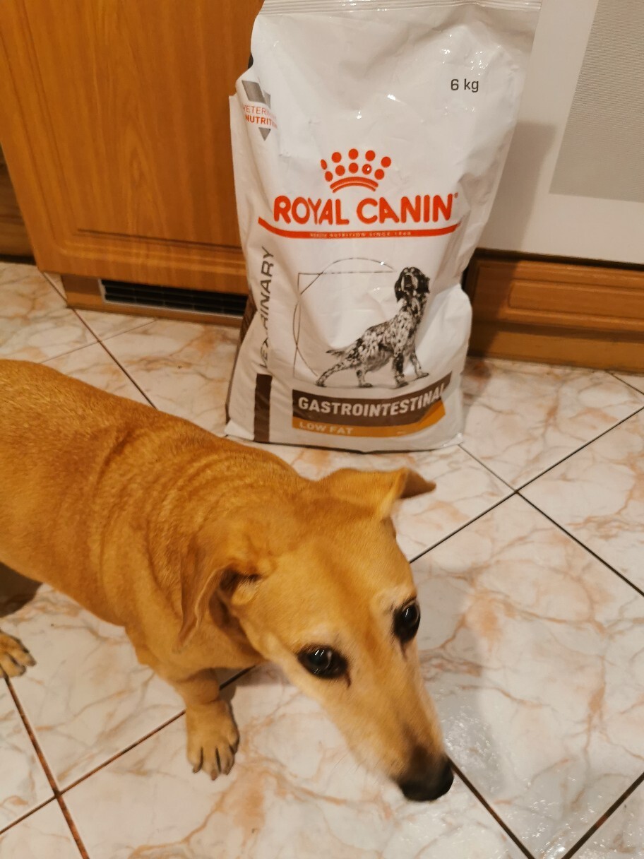 Royal canin low fat | Wrocław | Kup teraz na Allegro Lokalnie