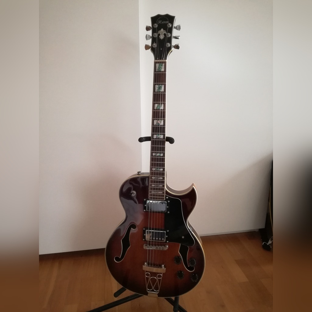 Raven hollow body guitar deals