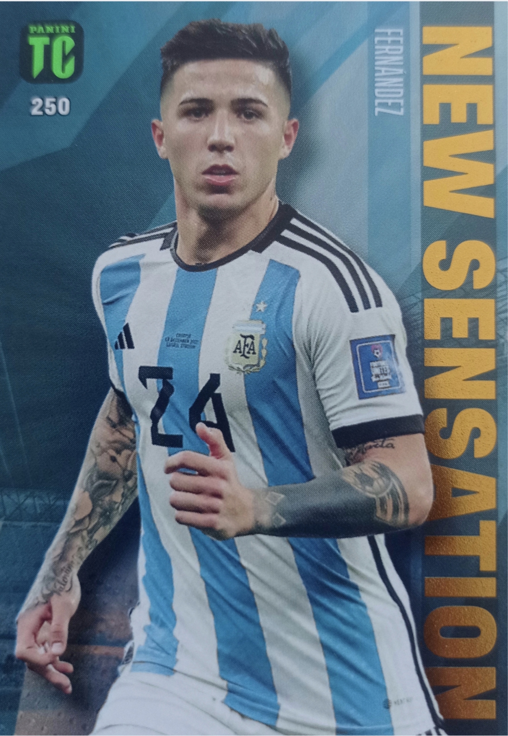 ⭐︎ Hernández⭐︎ Enzo fernandez - Allegro Lokalnie