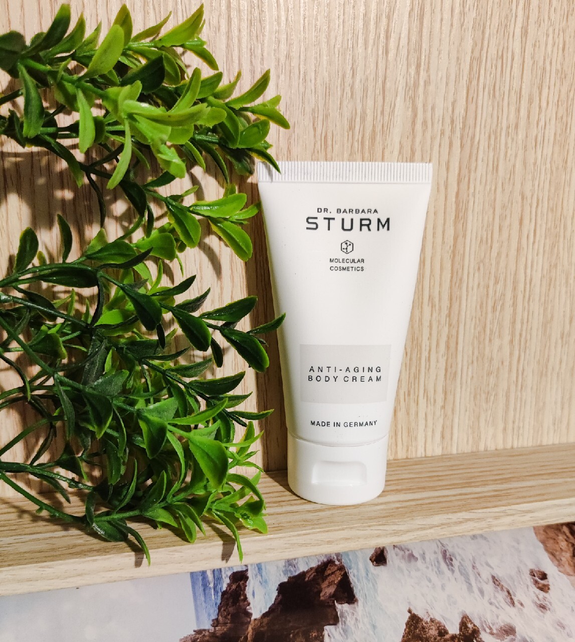 Dr Barbara Sturm AntiAging Body Cream Krem Nowogród Bobrzański Kup