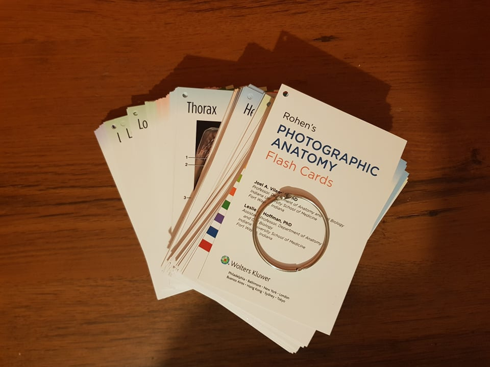 Rohen's Photographic Anatomy Flash Cards Gdańsk Kup teraz na