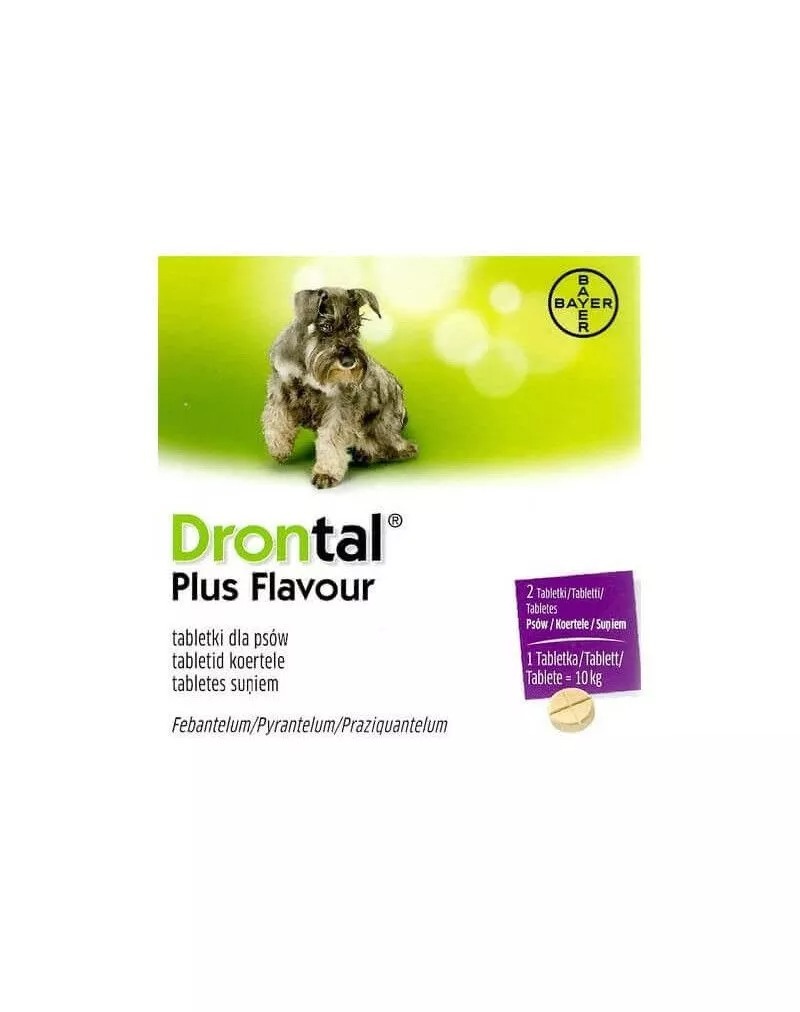 BAYER Drontal Dog flavour 6 tabletek Gorzów Wielkopolski Kup