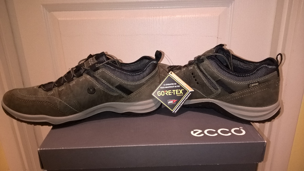 ecco mens espinho gtx