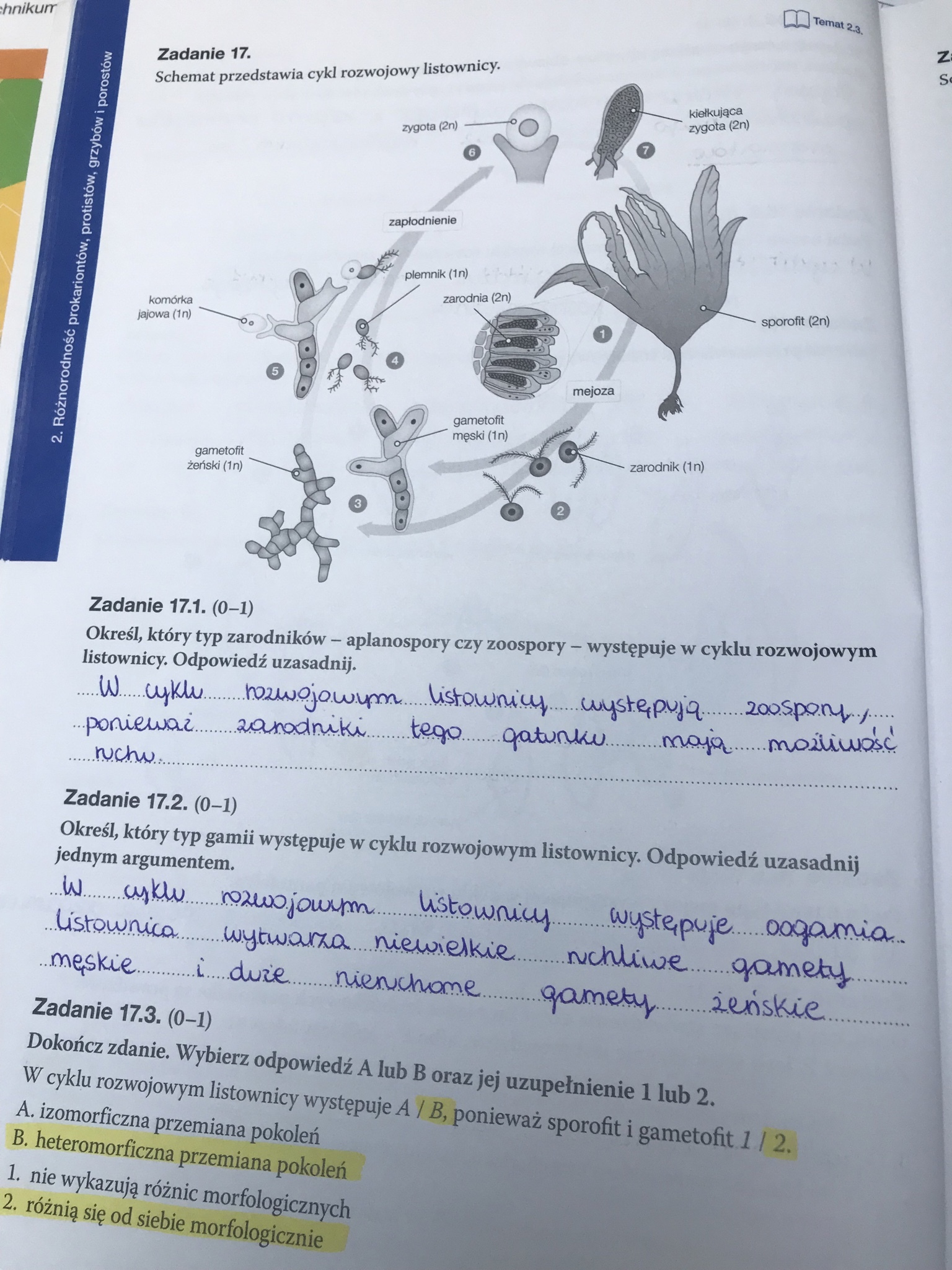 Schemat Przedstawia Cykl Rozwojowy Listownicy
