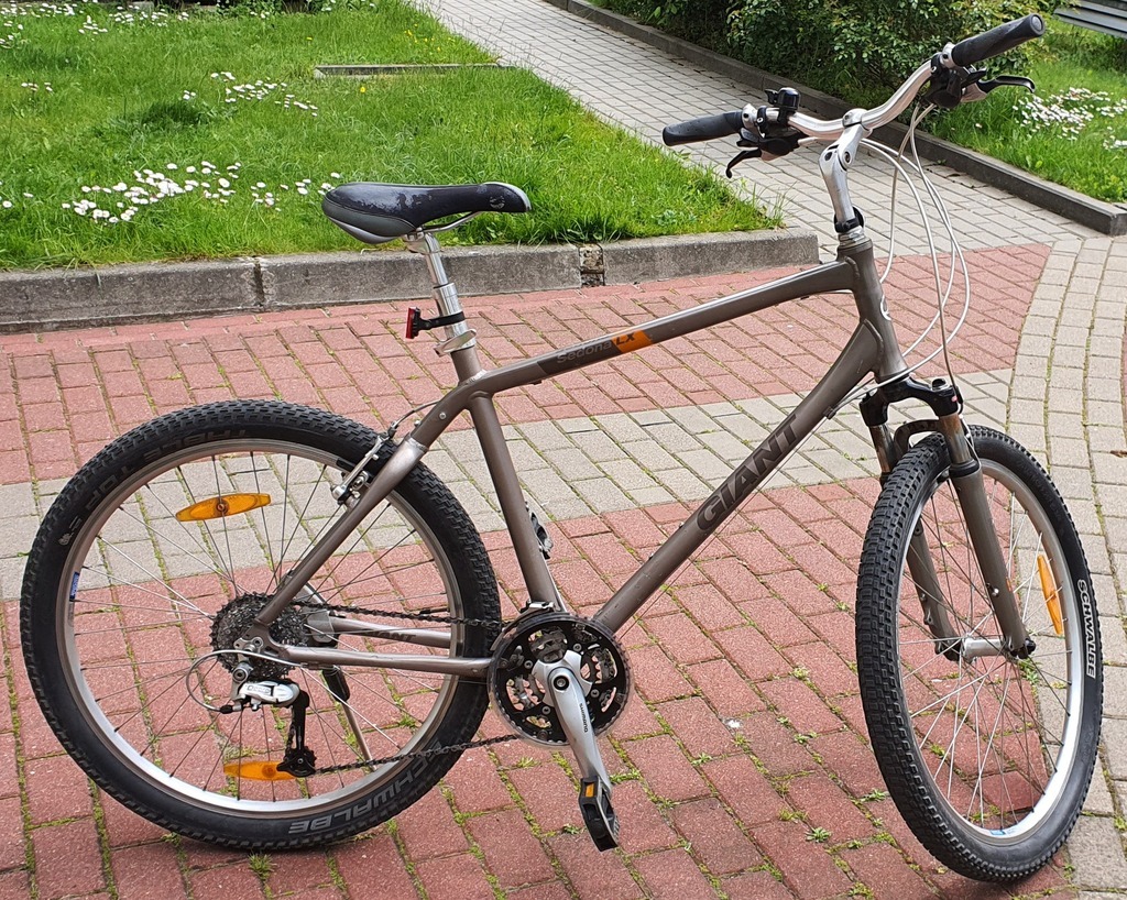 giant sedona bike sizes