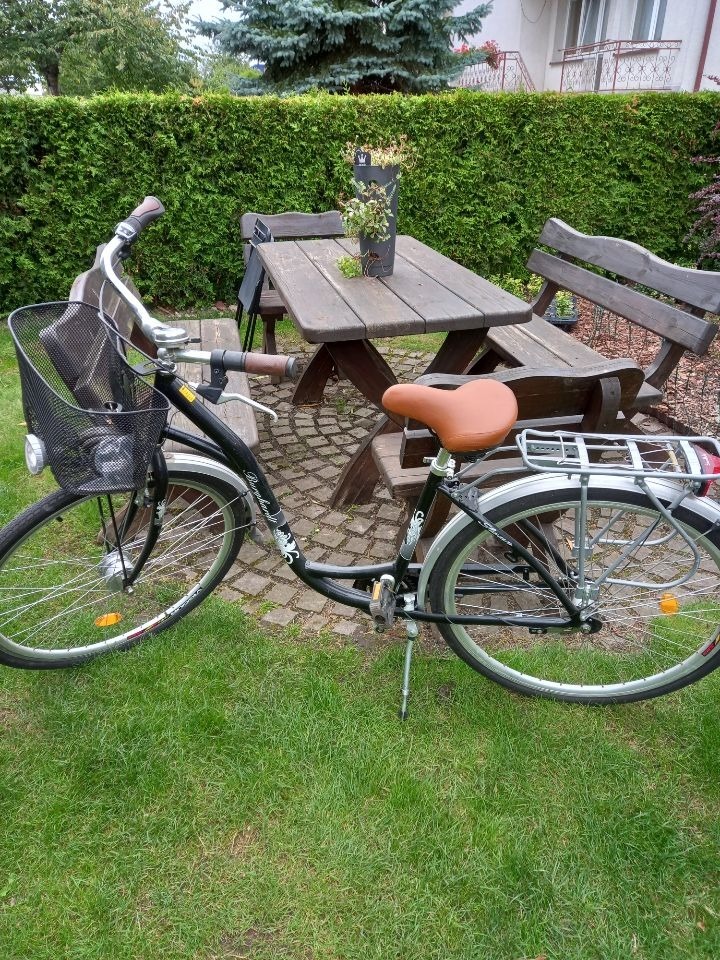 Rower Burghardt 28'' damski typu Swan. Czarny Toruń Kup teraz na