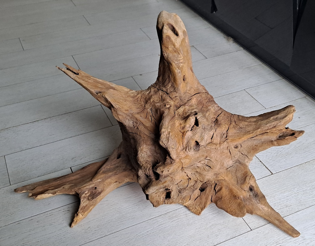 korzeń dębowy - akwarium biotop blackwater ozdoba | Warszawa | Kup teraz na Allegro Lokalnie