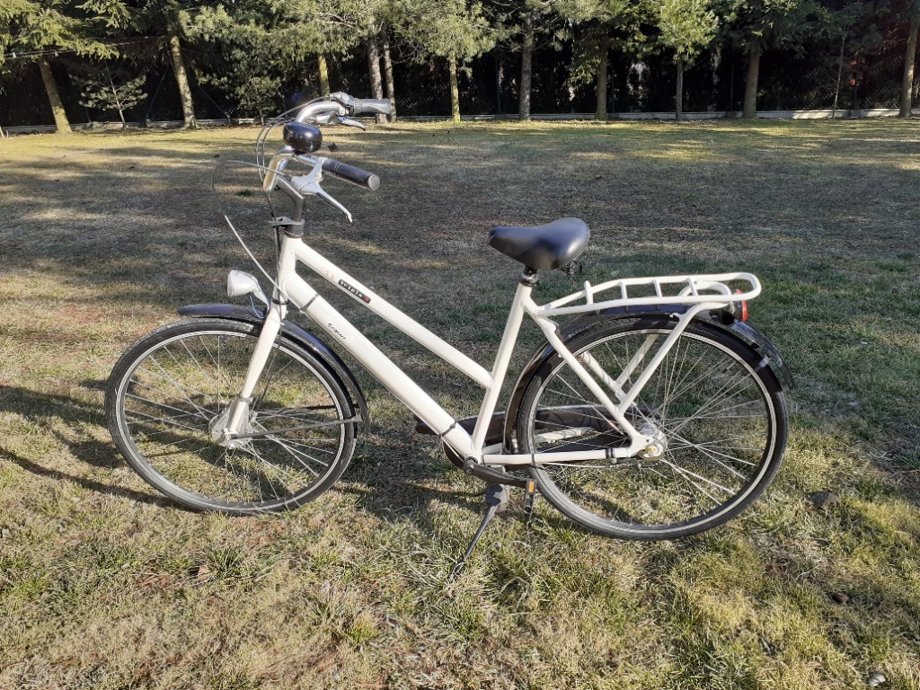 Rower holenderski Giant Triple X damski XL idealny Miechów Kup teraz na Allegro Lokalnie