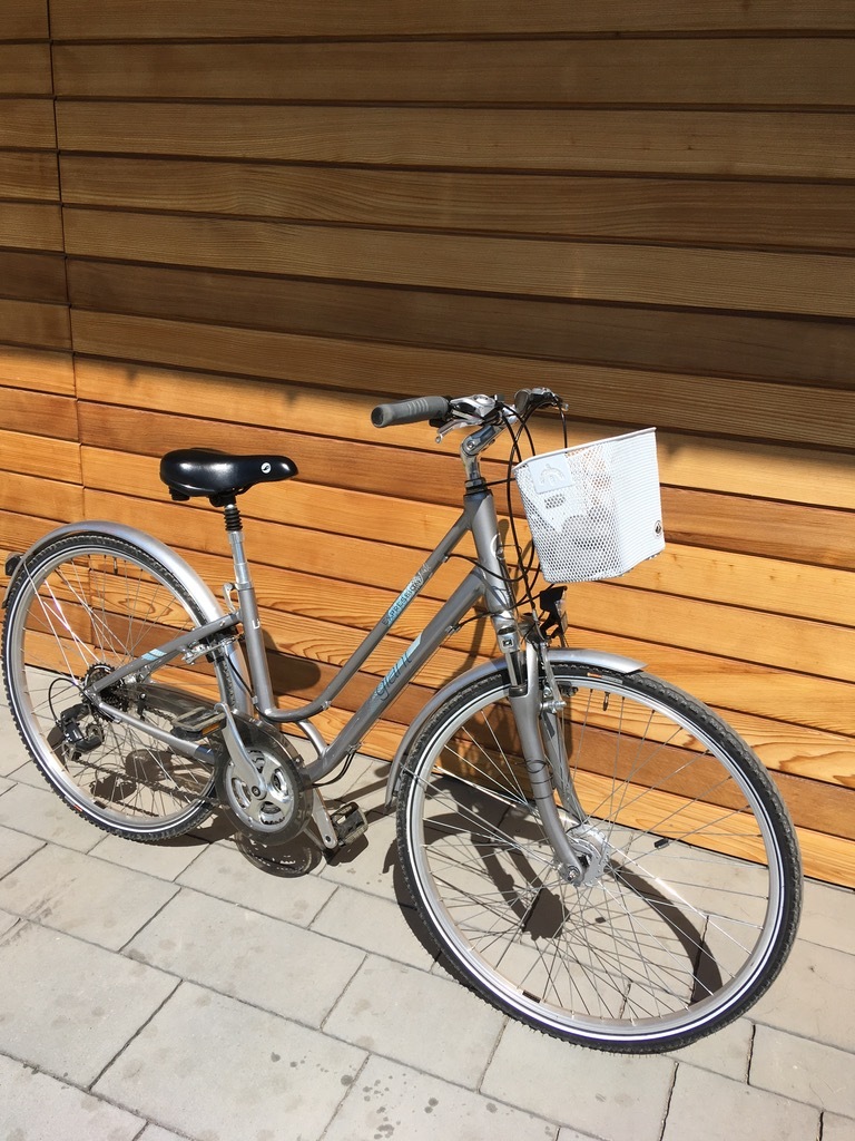 Rower miejski Giant Liv damski 27 BielskoBiała Kup teraz na