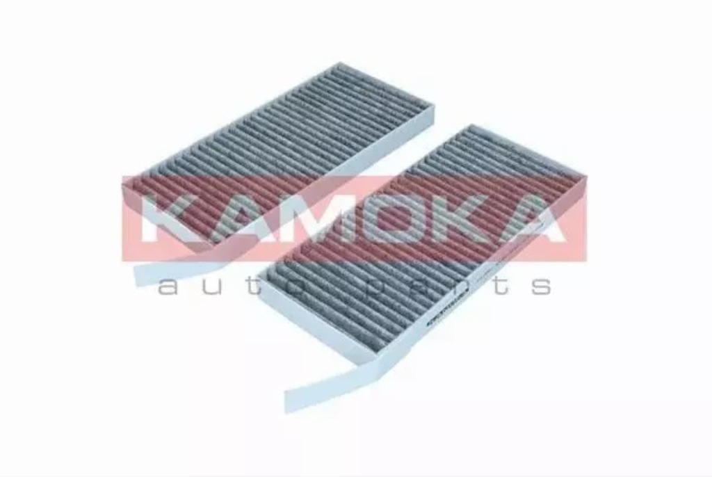 KAMOKA F519501 FILTR, ВЕНТИЛЯЦІЯ СТОРОНИ PASAZERSKIEJ 