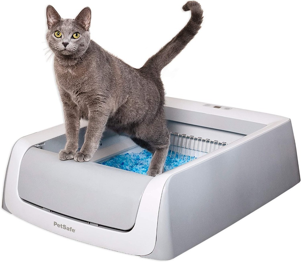 Best Self Cleaning Litter Box 2025