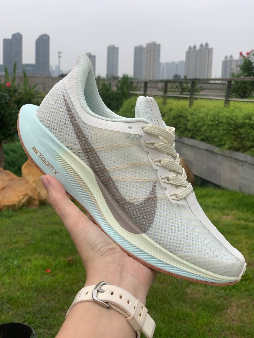 zoomx pegasus 35 turbo