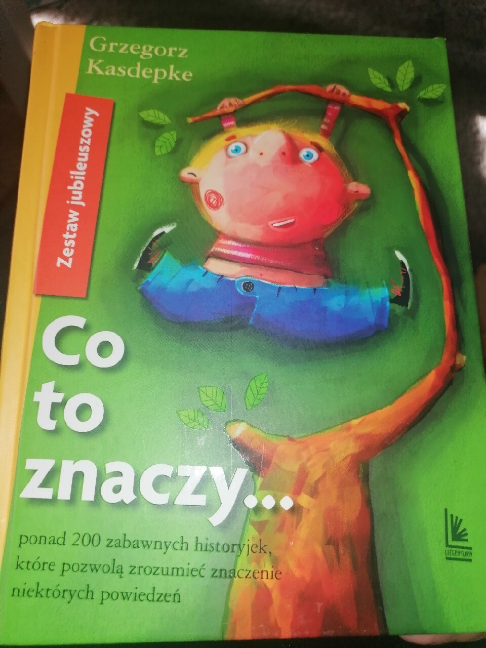 G. Kasdepke Co to znaczy... Kielce Kup teraz na Allegro Lokalnie