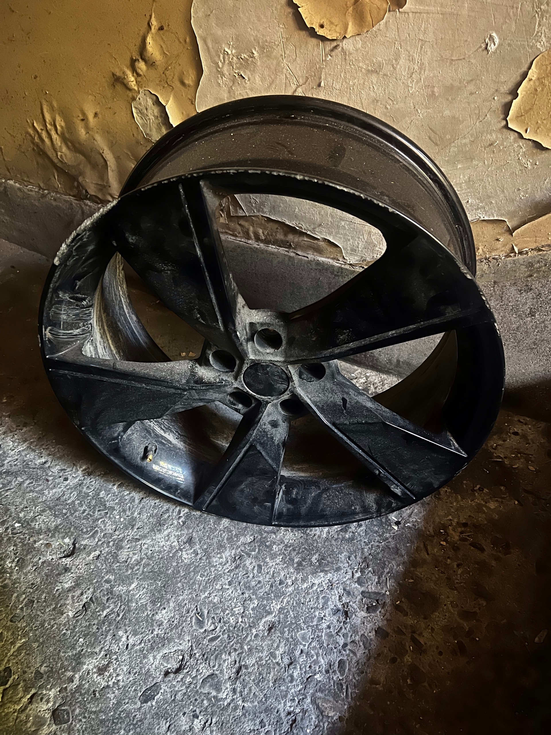 ДИСК CARBONADO 19 ДЮЙМИ R112 