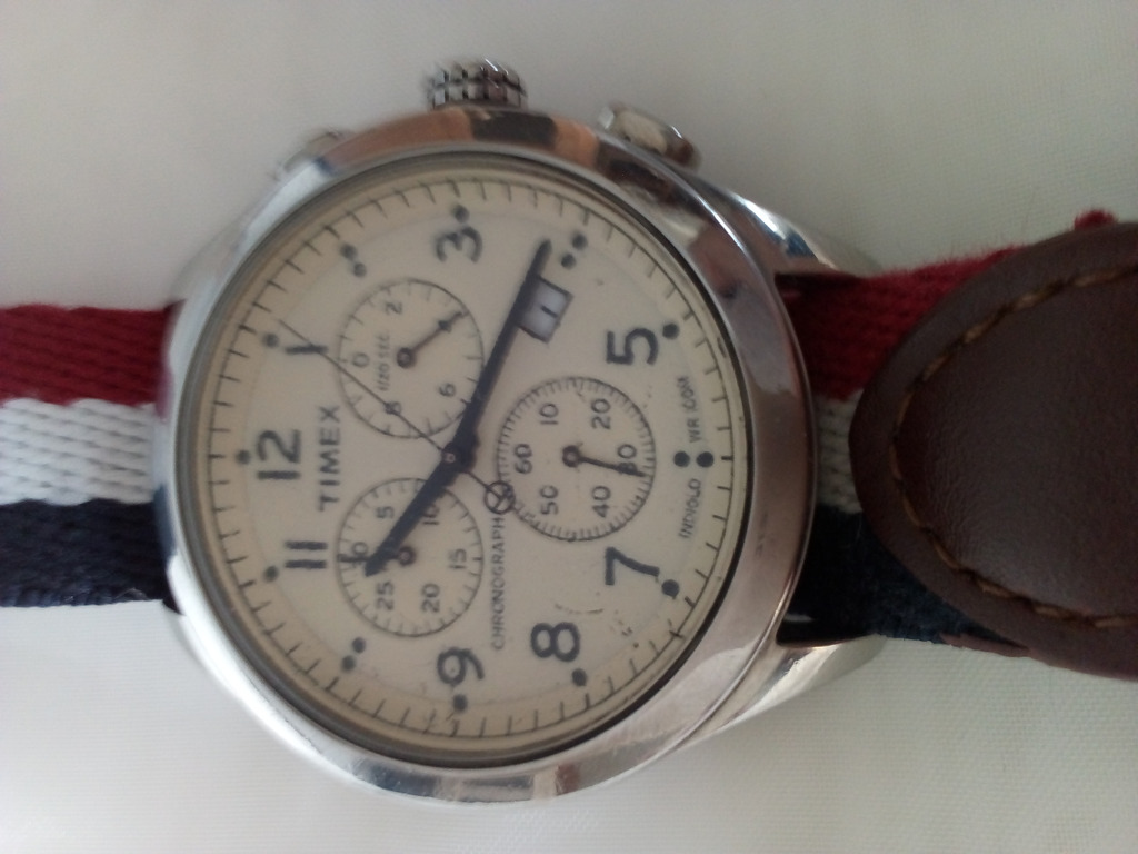 timex estd 1854