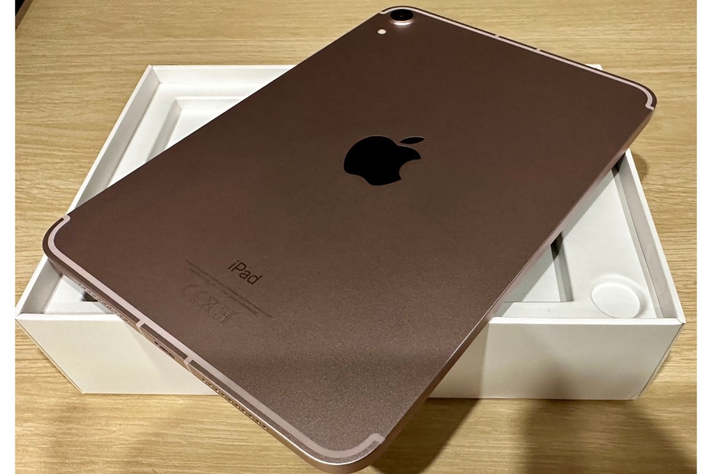 超美品】iPad mini 5 Wi-Fi Cellular 256GB - iPad本体